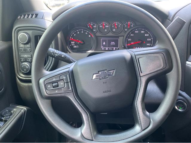 2025 Chevrolet Silverado 1500 Vehicle Photo in BEAUFORT, SC 29906-4218