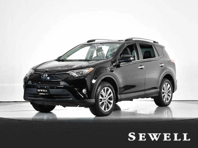 2017 Toyota RAV4 Vehicle Photo in DALLAS, TX 75235