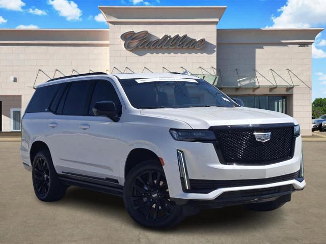 2023 Cadillac Escalade Vehicle Photo in DENTON, TX 76210-9321