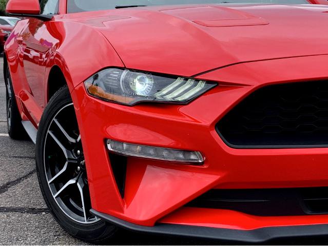 2023 Ford Mustang Vehicle Photo in BEAUFORT, SC 29906-4218