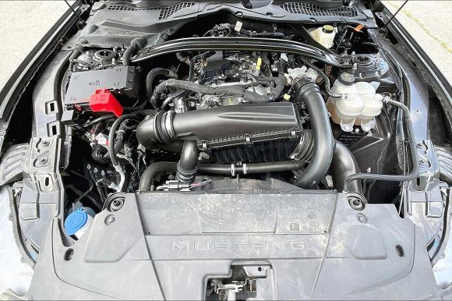 2024 Ford Mustang Vehicle Photo in Tulsa, OK 74145