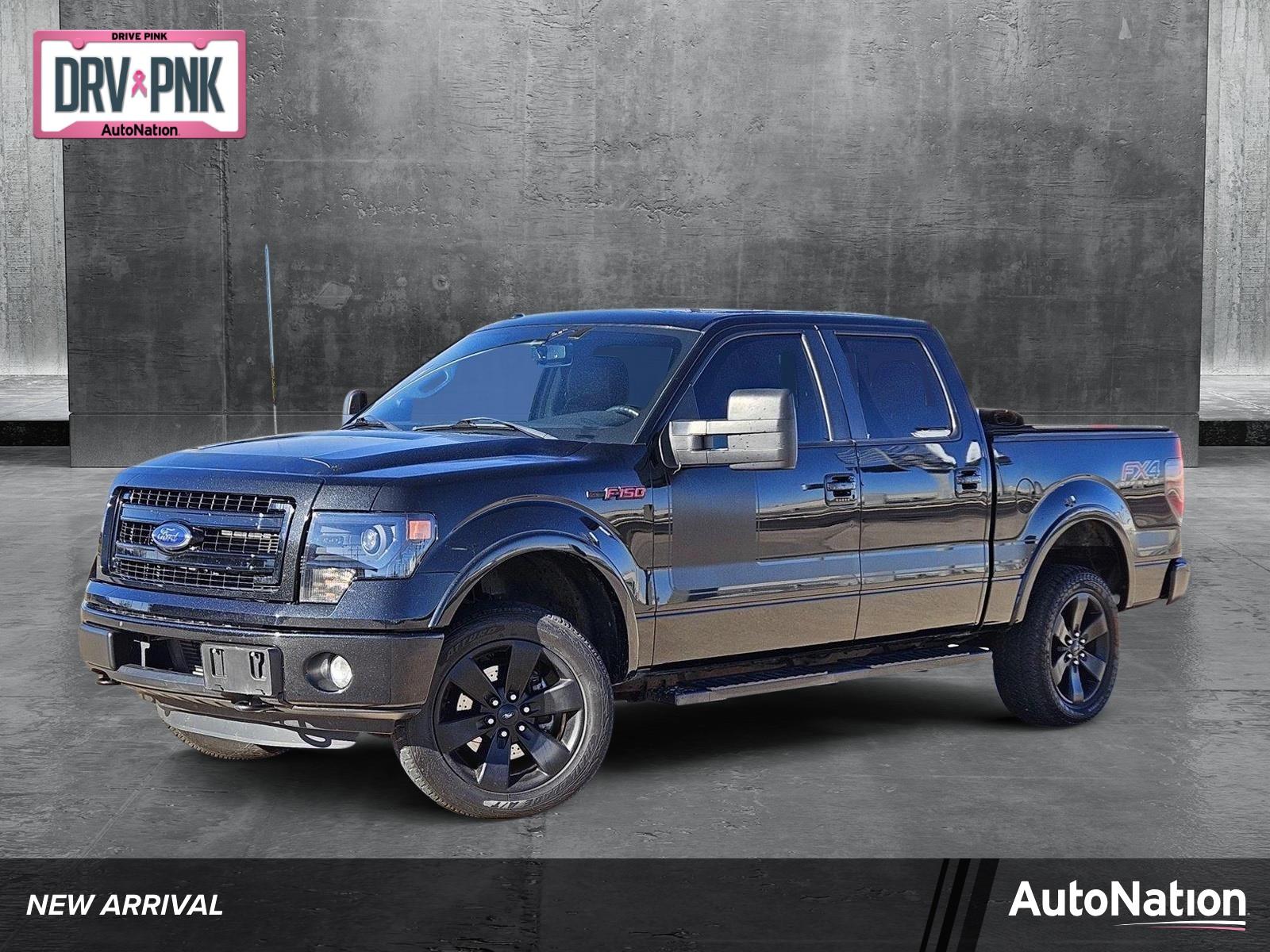 2013 Ford F-150 Vehicle Photo in AMARILLO, TX 79103-4111