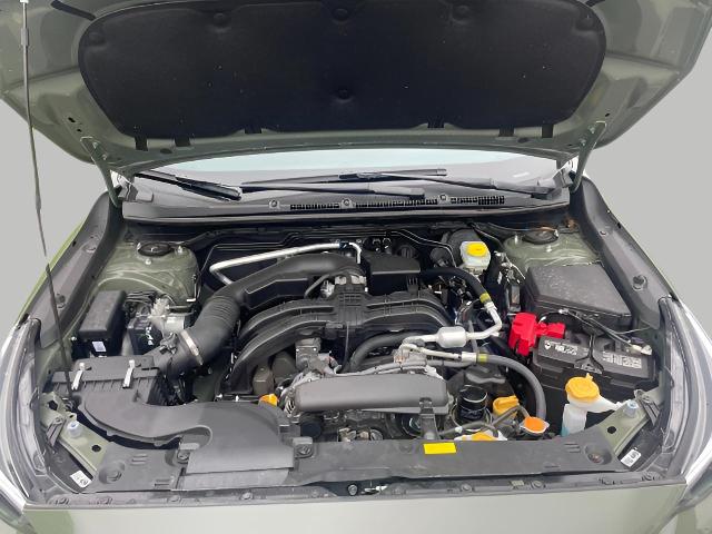 2024 Subaru Crosstrek Vehicle Photo in Oshkosh, WI 54904