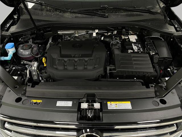 2024 Volkswagen Tiguan Vehicle Photo in Appleton, WI 54913