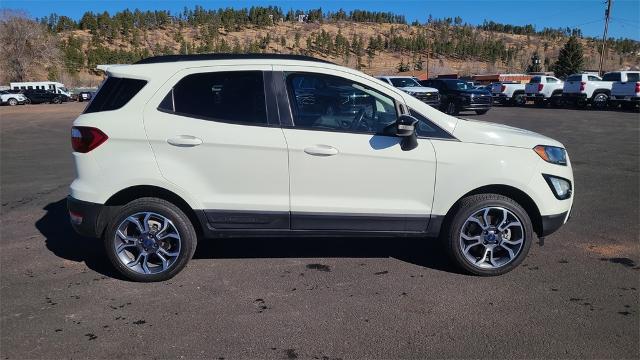 2020 Ford EcoSport Vehicle Photo in FLAGSTAFF, AZ 86001-6214