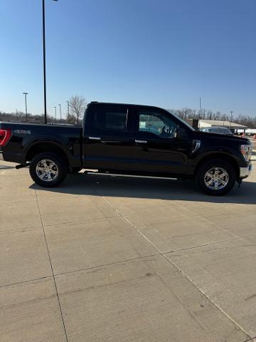 2021 Ford F-150 Vehicle Photo in Peoria, IL 61615