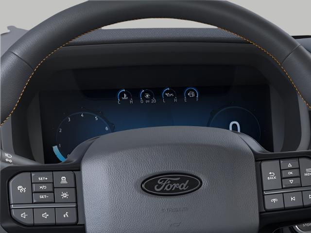 2025 Ford F-150 Vehicle Photo in Neenah, WI 54956