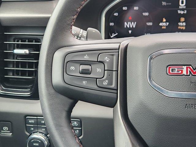 2024 GMC Sierra 1500 Vehicle Photo in Decatur, TX 76234