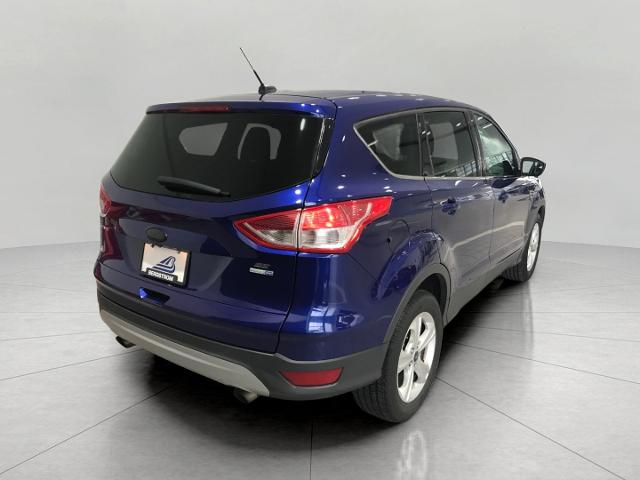 2015 Ford Escape Vehicle Photo in GREEN BAY, WI 54303-3330