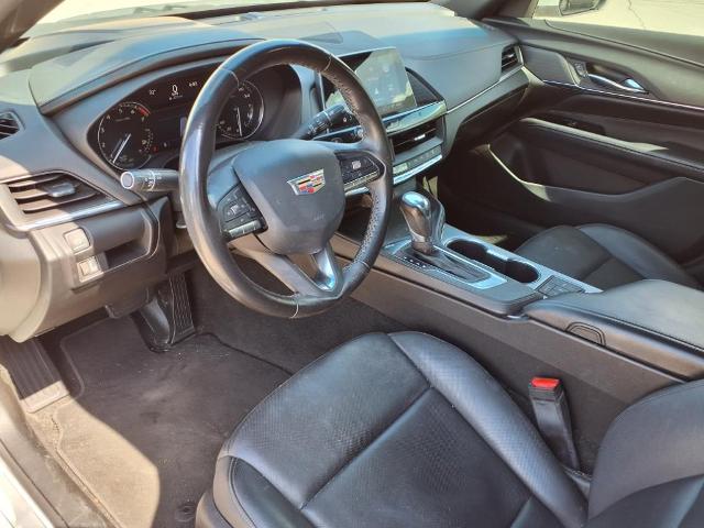 2021 Cadillac CT4 Vehicle Photo in Tampa, FL 33612