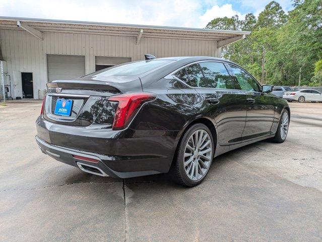 2021 Cadillac CT5 Vehicle Photo in BEAUFORT, SC 29906-4218