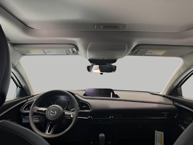 2025 Mazda CX-30 Vehicle Photo in Green Bay, WI 54304