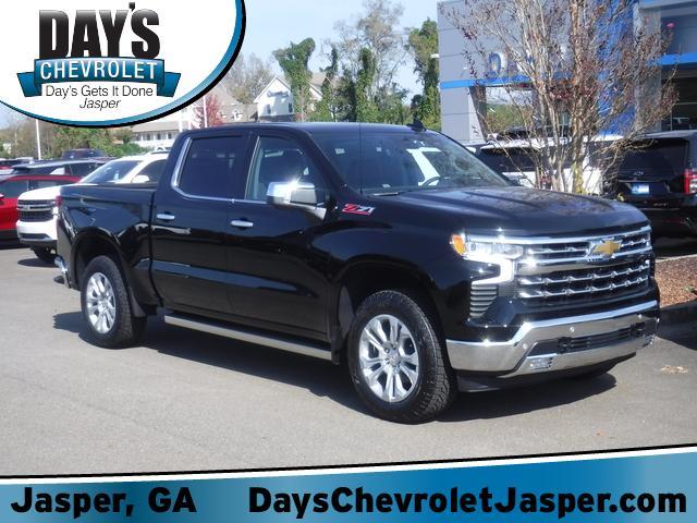 2025 Chevrolet Silverado 1500 Vehicle Photo in JASPER, GA 30143-8655