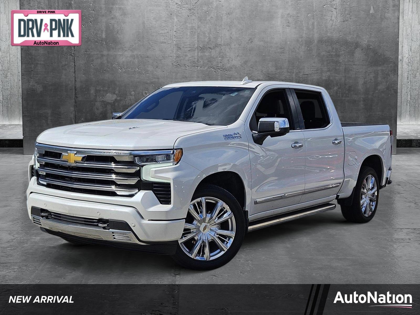 2023 Chevrolet Silverado 1500 Vehicle Photo in Pembroke Pines , FL 33027