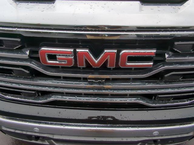 2025 GMC Sierra 1500 Vehicle Photo in ALBERTVILLE, AL 35950-0246