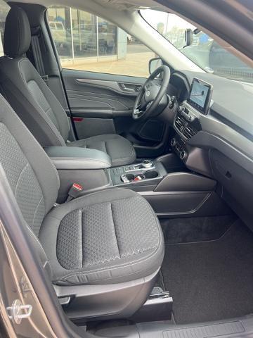 2024 Ford Escape Vehicle Photo in Winslow, AZ 86047-2439