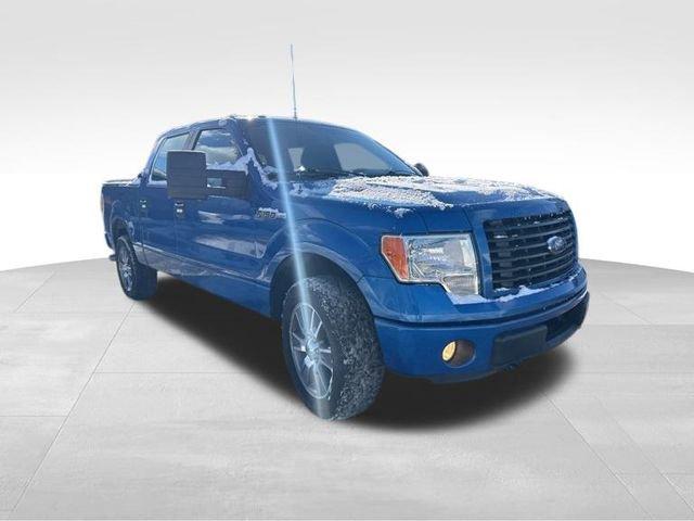 2014 Ford F-150 Vehicle Photo in MEDINA, OH 44256-9631