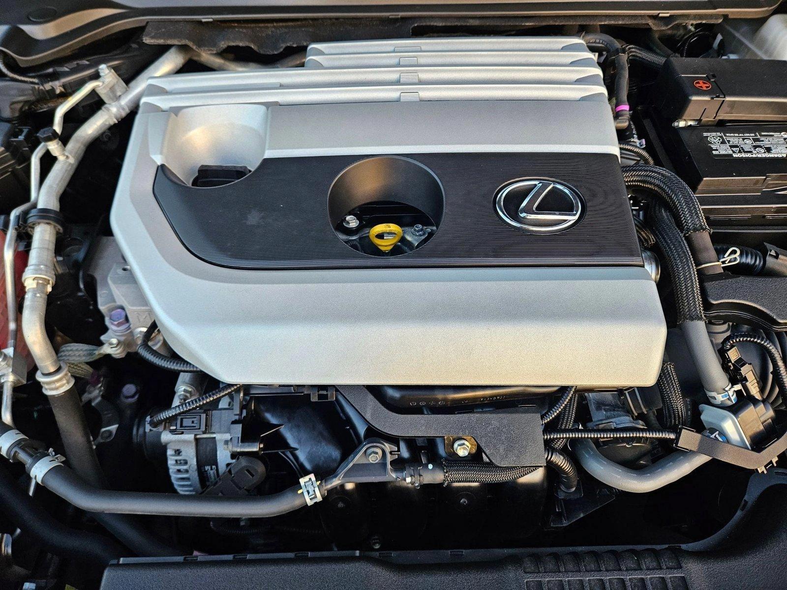 2019 Lexus UX 200 Vehicle Photo in Pembroke Pines , FL 33027