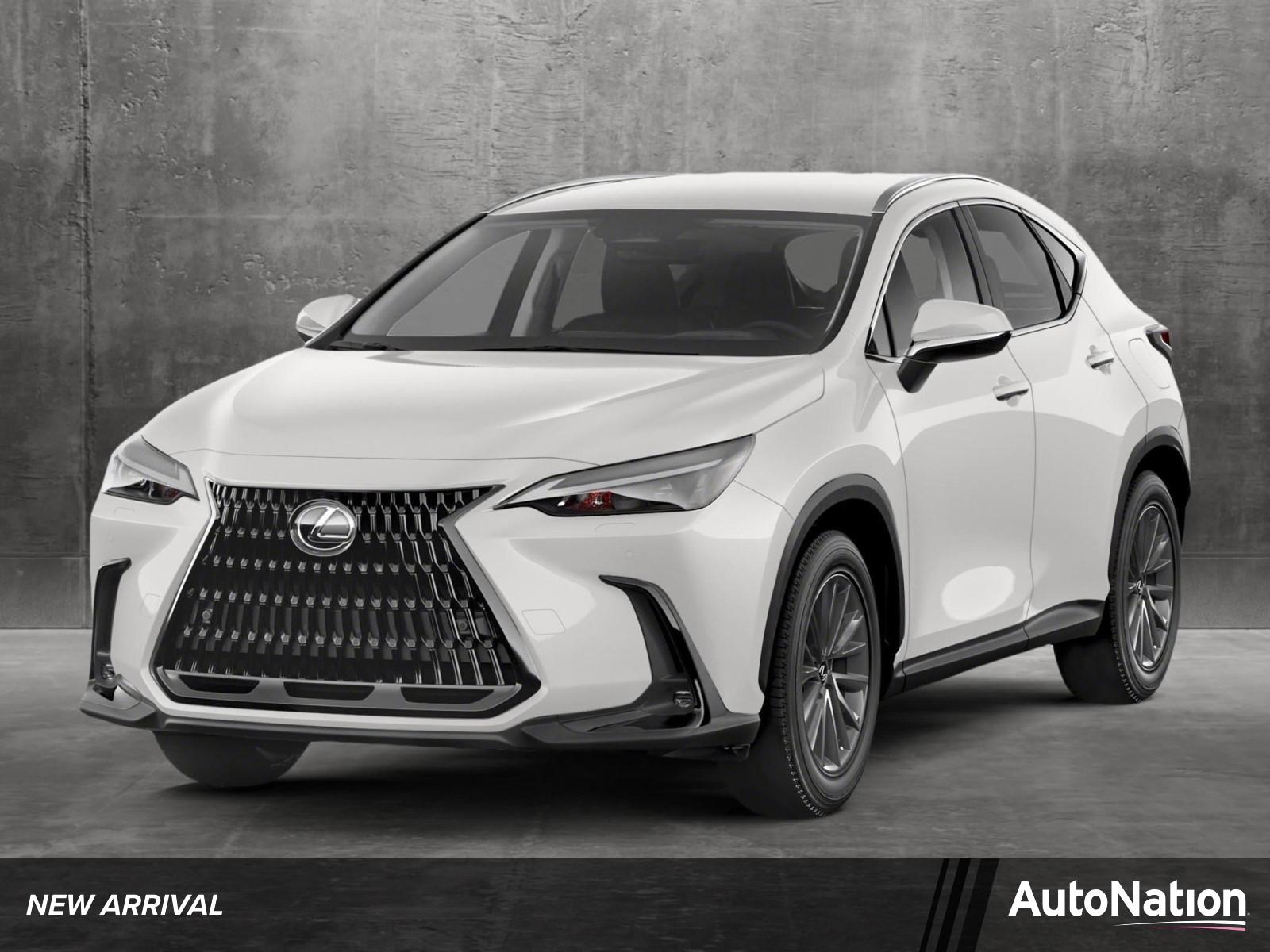 2022 Lexus NX 250 Vehicle Photo in Clearwater, FL 33761