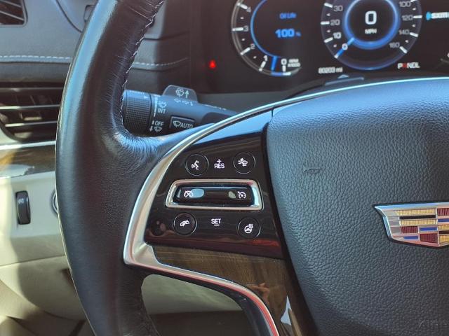 2019 Cadillac Escalade Vehicle Photo in Tampa, FL 33612