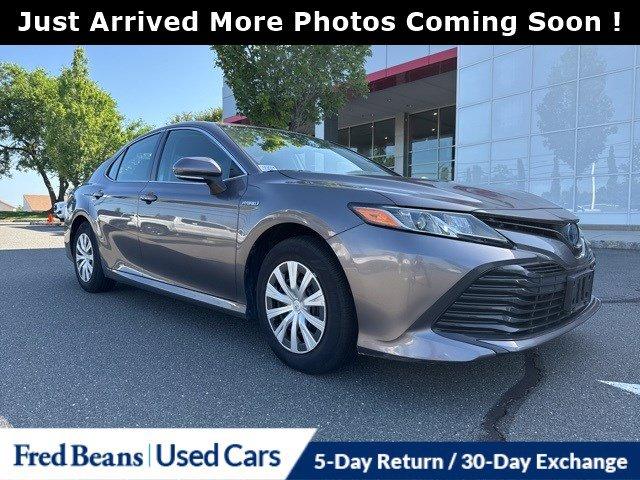 2019 Toyota Camry Vehicle Photo in Flemington, NJ 08822