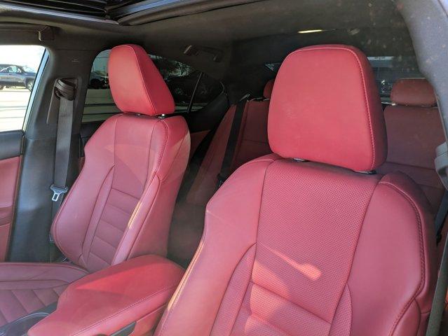 2023 Lexus IS Vehicle Photo in SELMA, TX 78154-1460