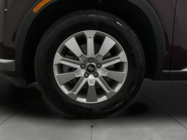 2024 Hyundai PALISADE Vehicle Photo in Appleton, WI 54914