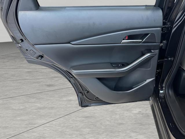 2025 Mazda CX-30 Vehicle Photo in Green Bay, WI 54304
