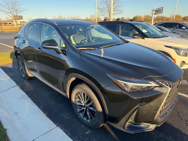 2024 Lexus NX 350h Vehicle Photo in Appleton, WI 54913