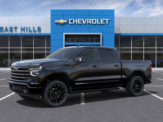 2025 Chevrolet Silverado 1500 Vehicle Photo in Roslyn, NY 11576
