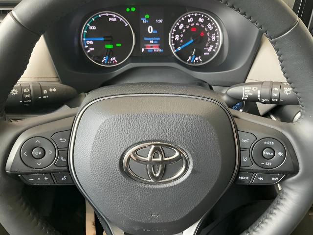 2022 Toyota RAV4 Vehicle Photo in Oshkosh, WI 54904