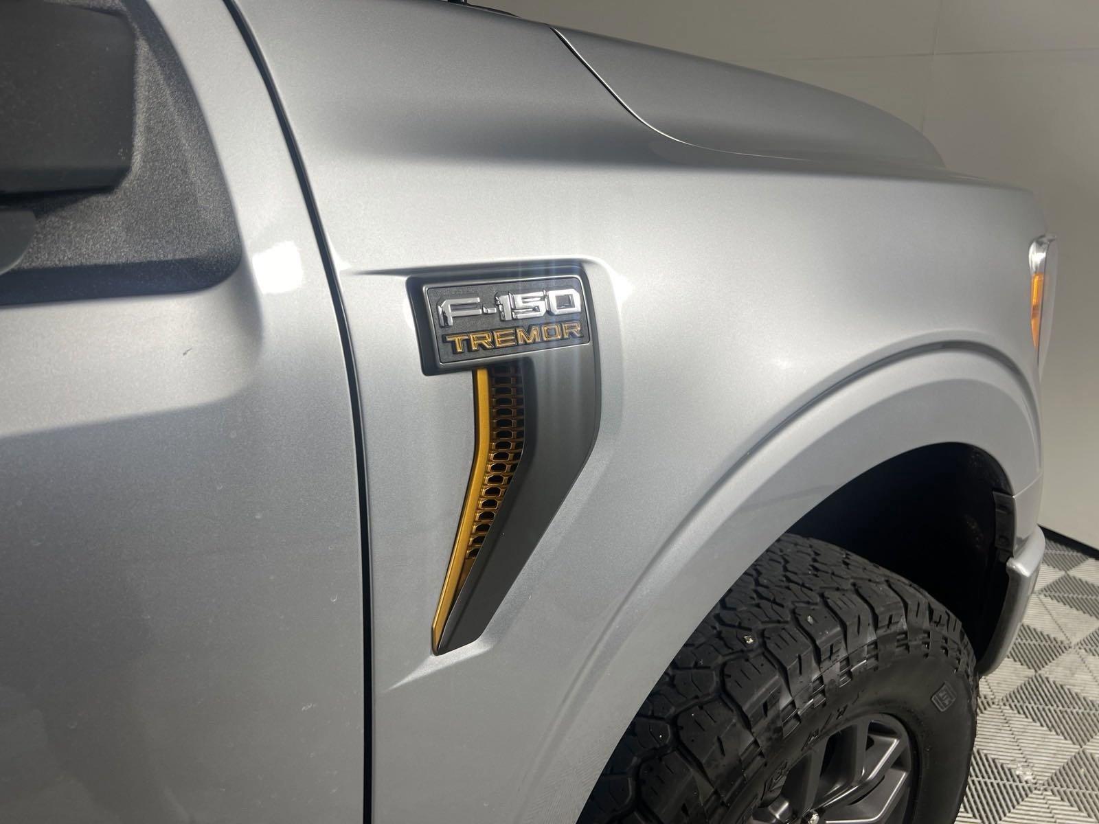 2022 Ford F-150 Vehicle Photo in GEORGETOWN, TX 78626-7508