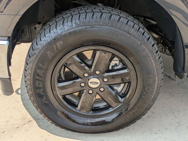 2023 Ford F-150 Vehicle Photo in San Antonio, TX 78209