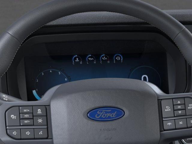 2025 Ford F-150 Vehicle Photo in Weatherford, TX 76087