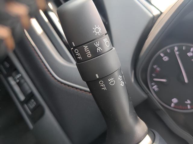 2025 Subaru Forester Vehicle Photo in Green Bay, WI 54304