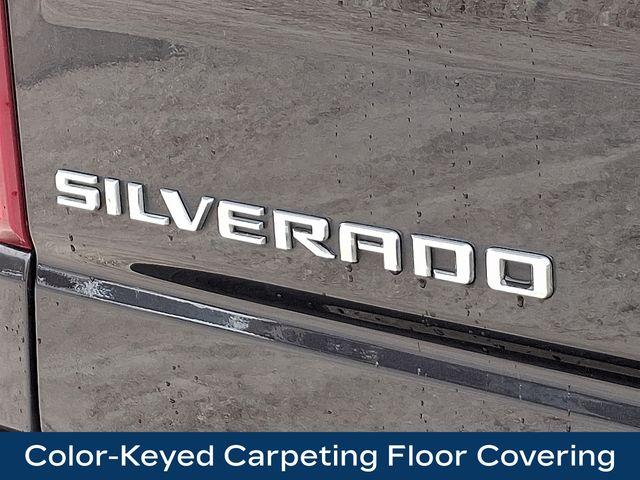 2022 Chevrolet Silverado 1500 Vehicle Photo in PAWLING, NY 12564-3219