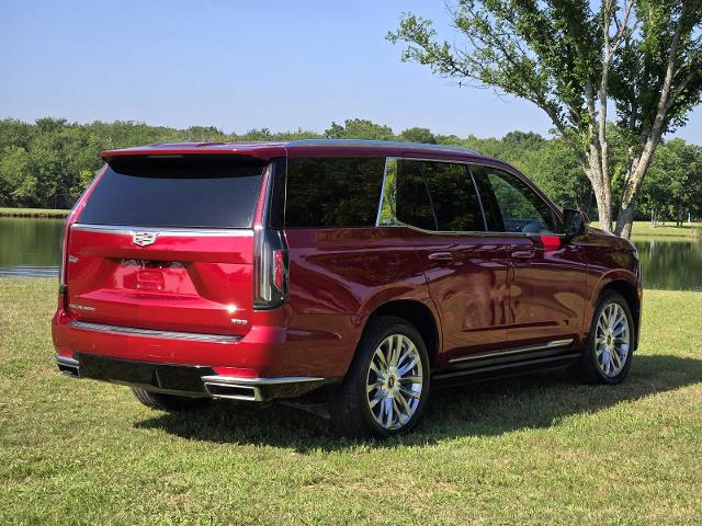 2021 Cadillac Escalade Vehicle Photo in DENTON, TX 76210-9321