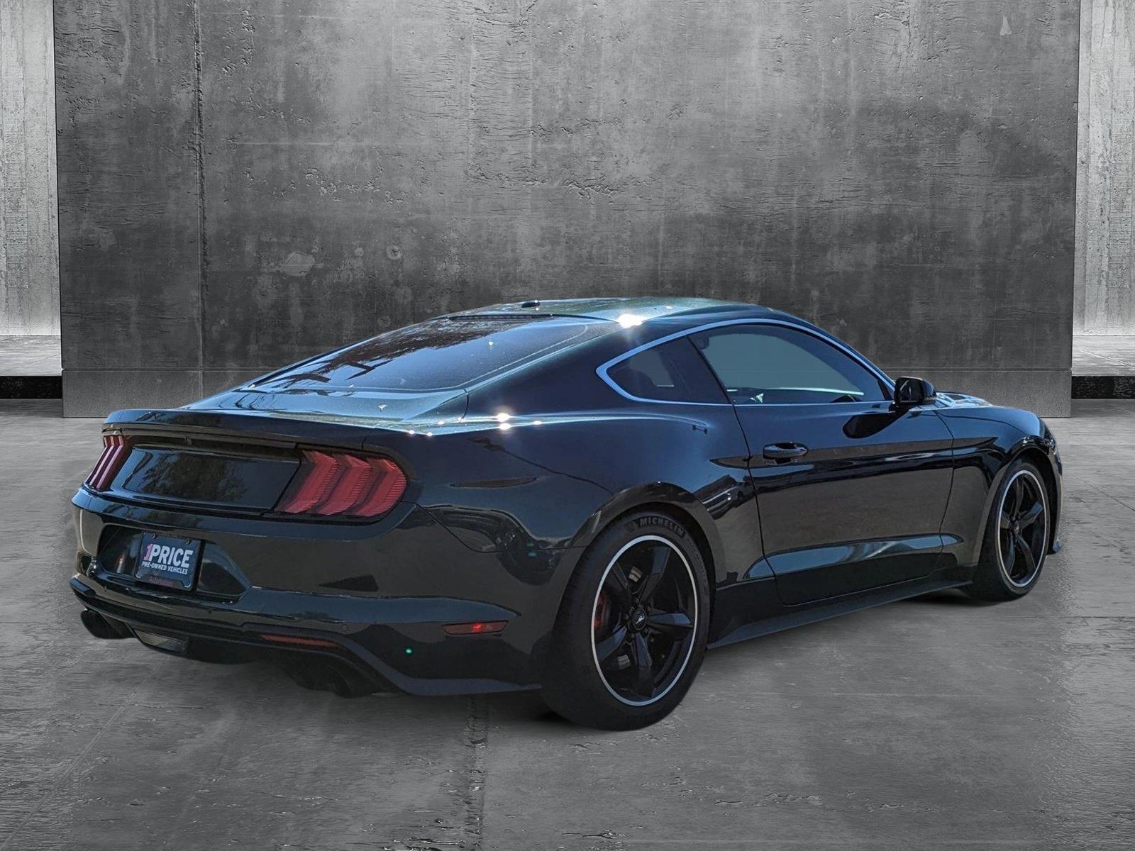 2019 Ford Mustang Vehicle Photo in Jacksonville, FL 32244