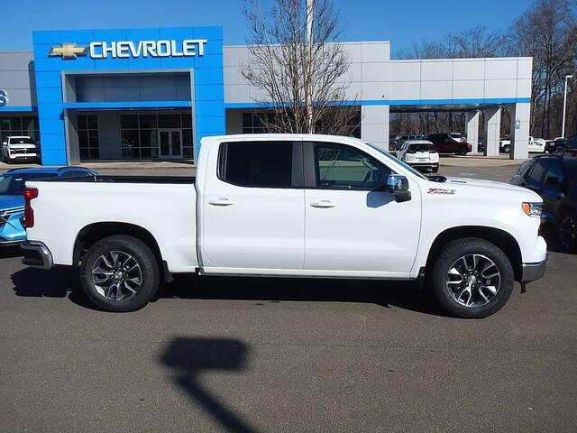 2025 Chevrolet Silverado 1500 Vehicle Photo in JASPER, GA 30143-8655