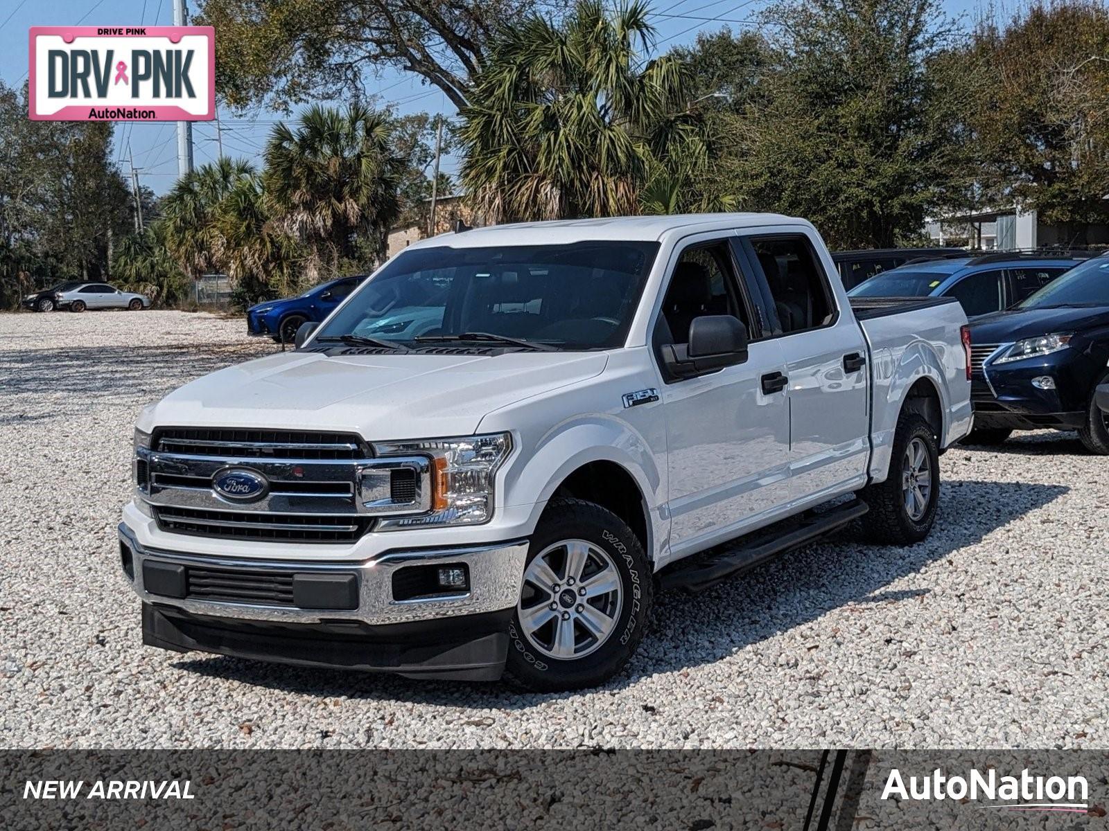 2019 Ford F-150 Vehicle Photo in Tampa, FL 33614