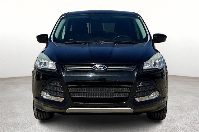 2015 Ford Escape Vehicle Photo in San Antonio, TX 78230