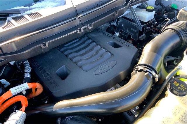 2023 Ford F-150 Vehicle Photo in KANSAS CITY, MO 64114-4502