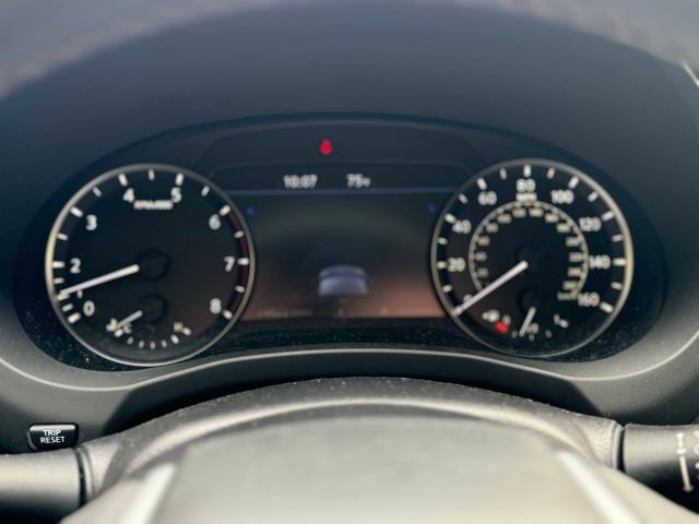 2023 INFINITI QX50 Vehicle Photo in San Antonio, TX 78230