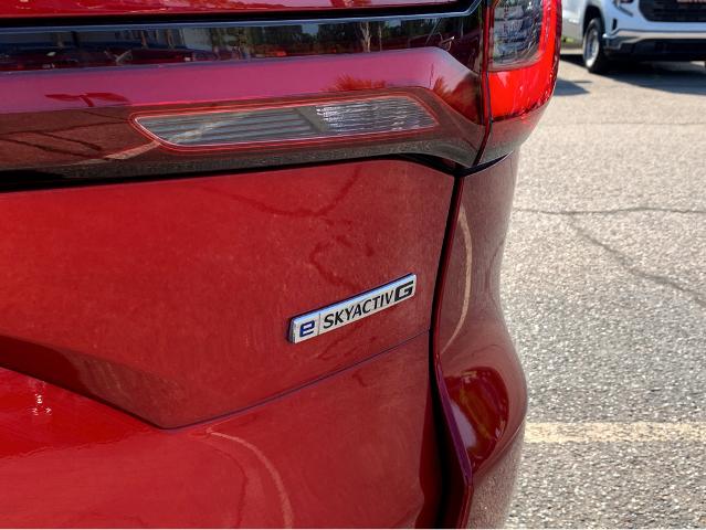 2024 Mazda CX-90 Vehicle Photo in BEAUFORT, SC 29906-4218