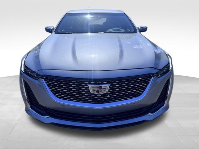 2023 Cadillac CT5 Vehicle Photo in DELRAY BEACH, FL 33483-3294