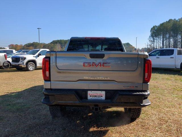 2025 GMC Sierra 1500 Vehicle Photo in ALBERTVILLE, AL 35950-0246