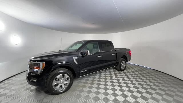 2022 Ford F-150 Vehicle Photo in GILBERT, AZ 85297-0402