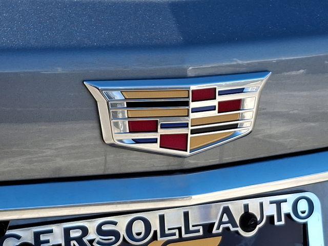 2024 Cadillac XT5 Vehicle Photo in DANBURY, CT 06810-5034