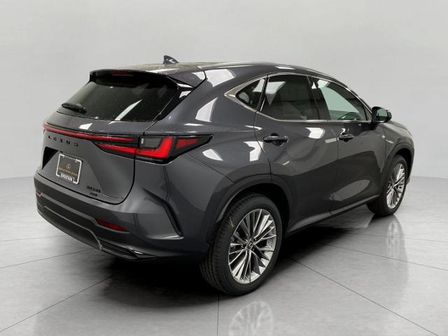 2025 Lexus NX 350 Vehicle Photo in Appleton, WI 54913