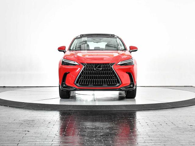 2023 Lexus NX 350 Vehicle Photo in DALLAS, TX 75235